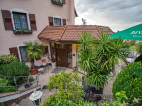 Hotel Neckarblick Superior, Bad Wimpfen